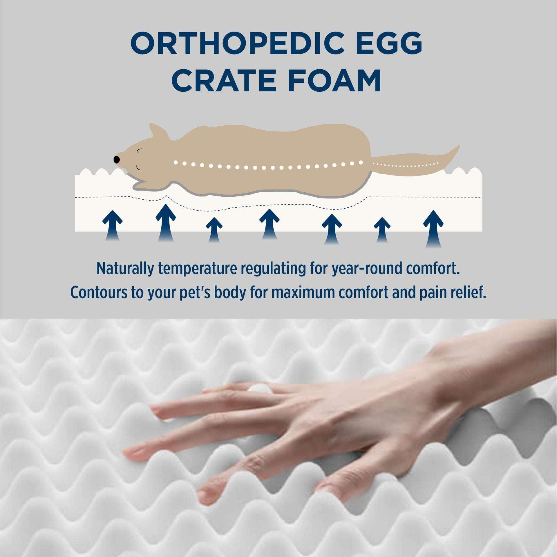 1b6e8a6684c225df77709acebab3871e