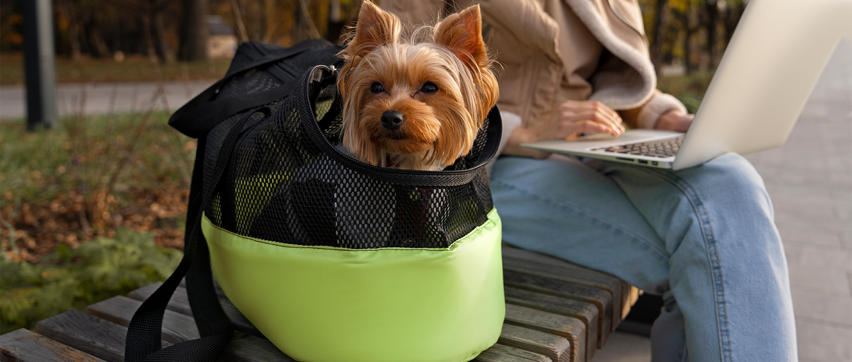 slider image slider_item_nXDnM4